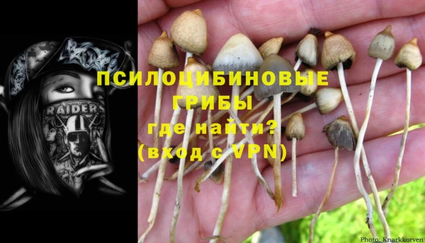 соль курить ск Горнозаводск