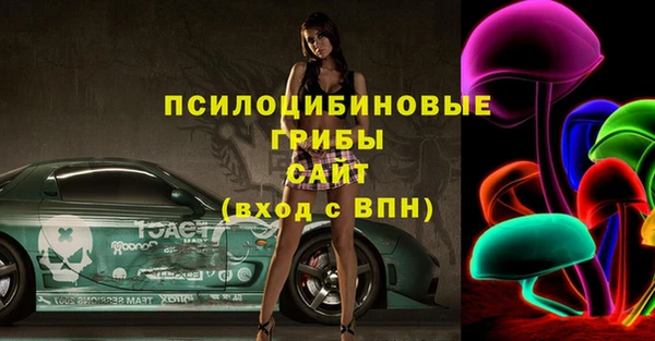 mdpv Горняк