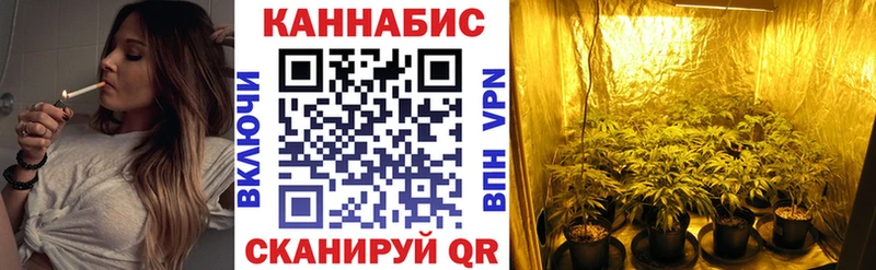 Каннабис ГИДРОПОН Северская
